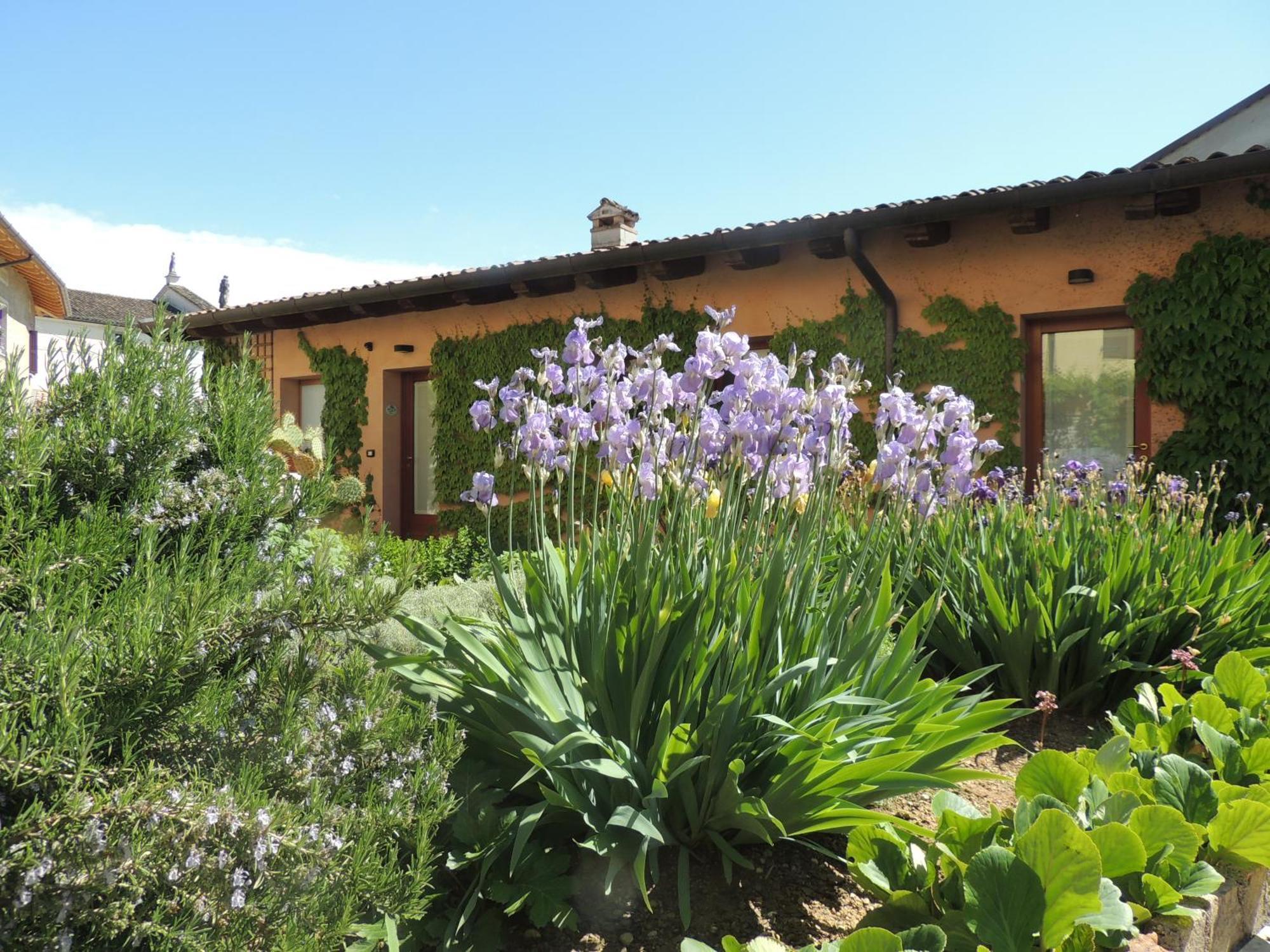 Resort Villa Manin Passariano Εξωτερικό φωτογραφία